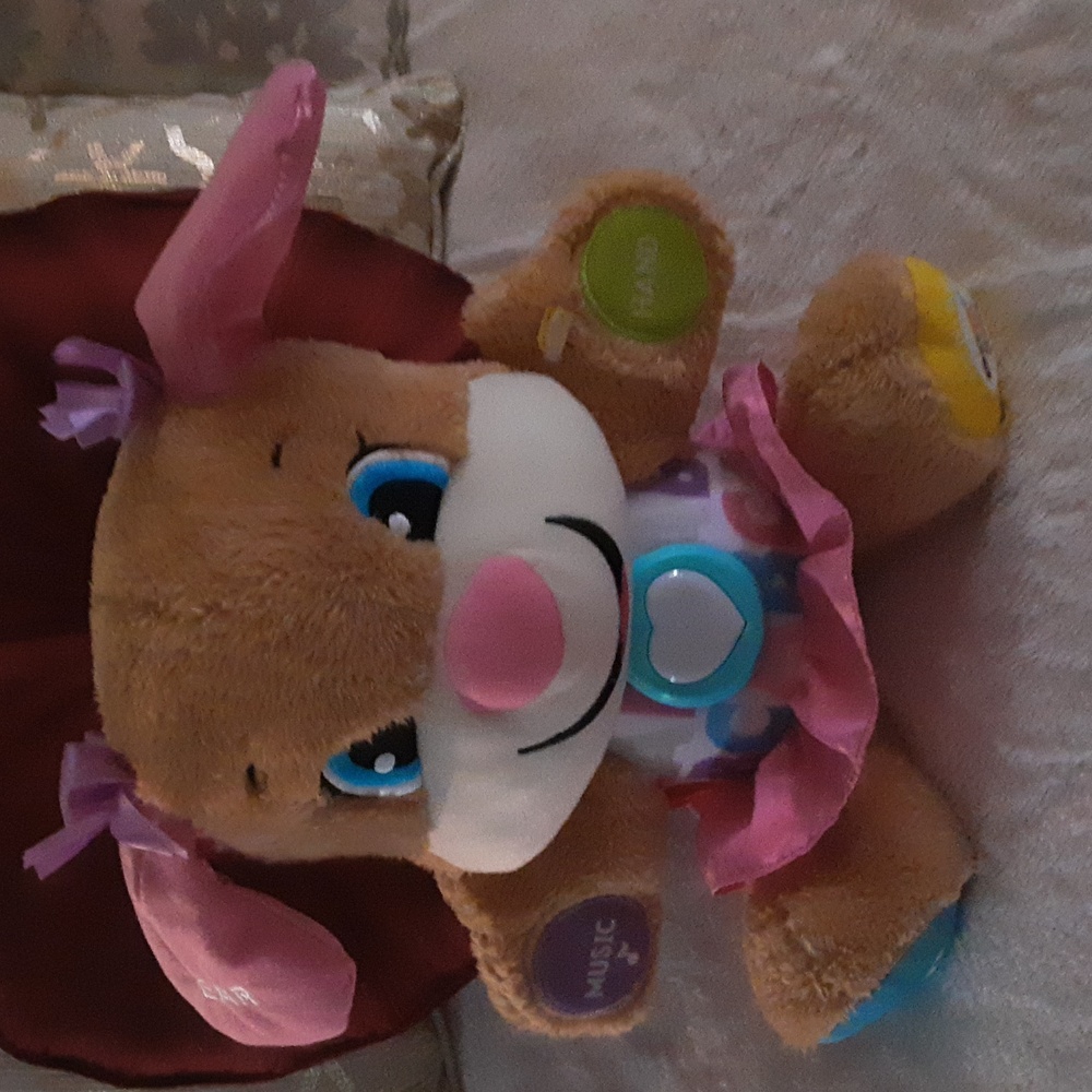 Fisher price laugh and learn smart stages puppy sis.